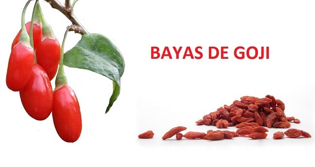 goji-como-son