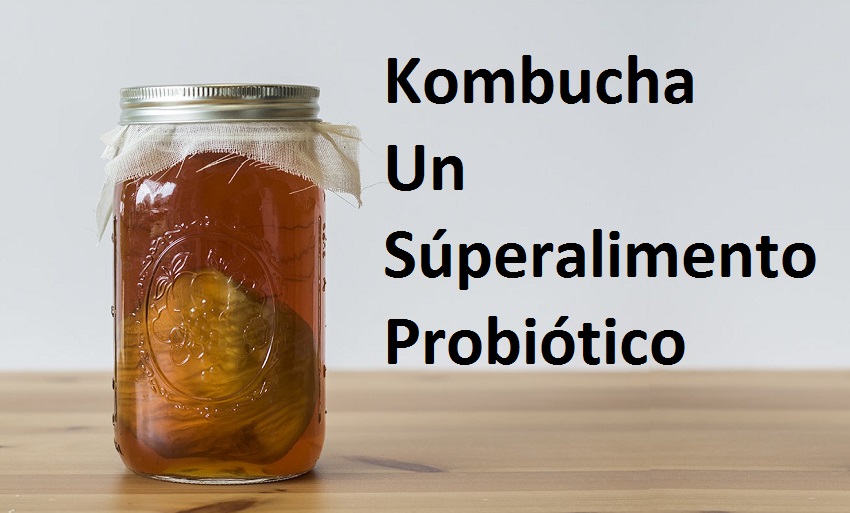 Kombucha superalimento probiótico