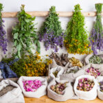 Cuáles son las contraindicaciones de consumir ciertas plantas medicinales