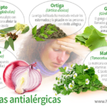 Cuáles son las hierbas que pueden ayudar a aliviar los síntomas de la alergia