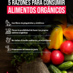 Cuáles son los beneficios de consumir alimentos orgánicos