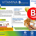 Cuáles son los beneficios de consumir alimentos ricos en vitamina B1
