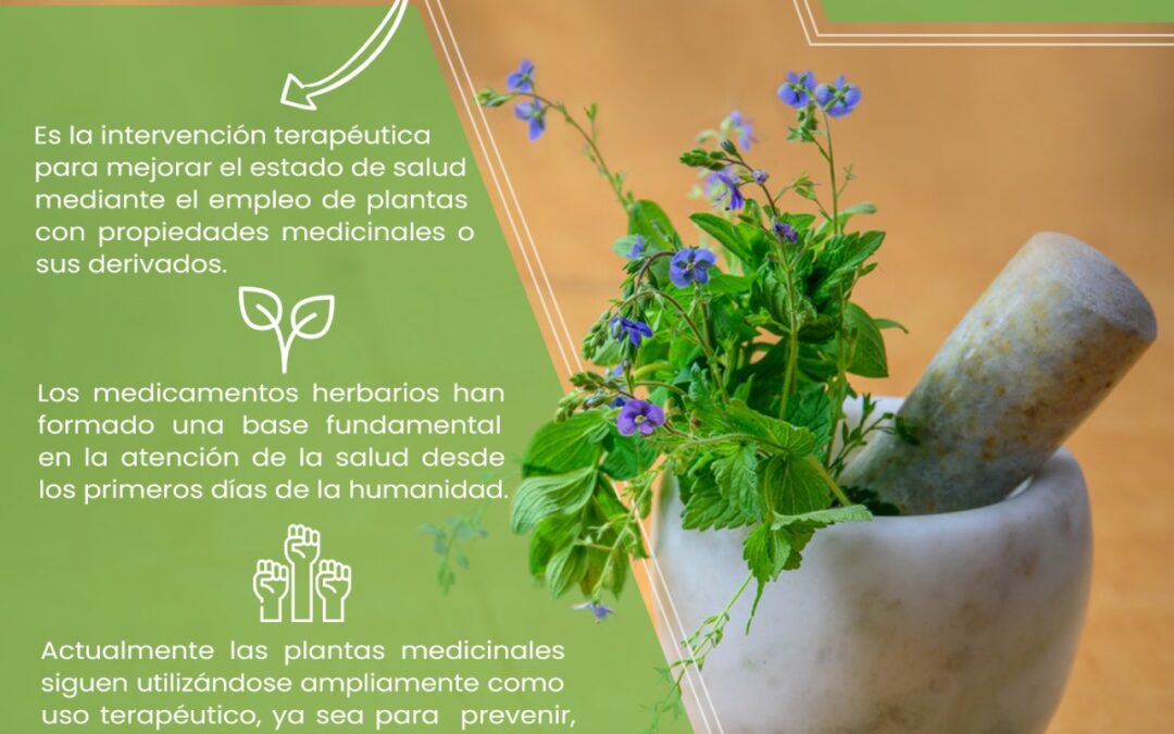 Cuáles son los beneficios de las hierbas para la salud