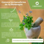 Cuáles son los beneficios de utilizar plantas medicinales
