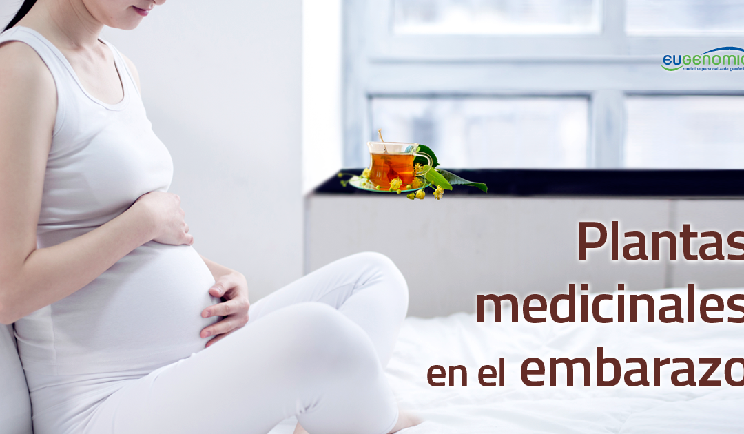 Existen contraindicaciones al utilizar plantas medicinales durante el embarazo