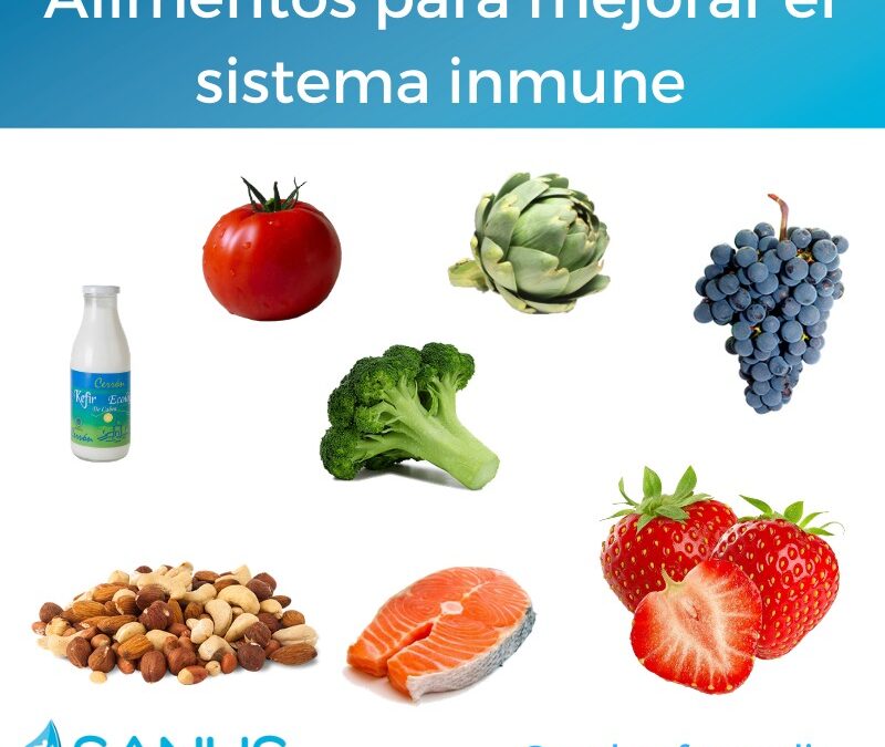 Qué alimentos ayudan a fortalecer el sistema inmunológico