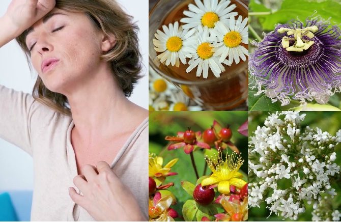 Qué hierbas pueden ayudar a aliviar los síntomas de la menopausia