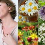 Qué hierbas son buenas para aliviar los síntomas de la menopausia