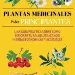 Qué plantas medicinales pueden ayudar a mejorar mi bienestar